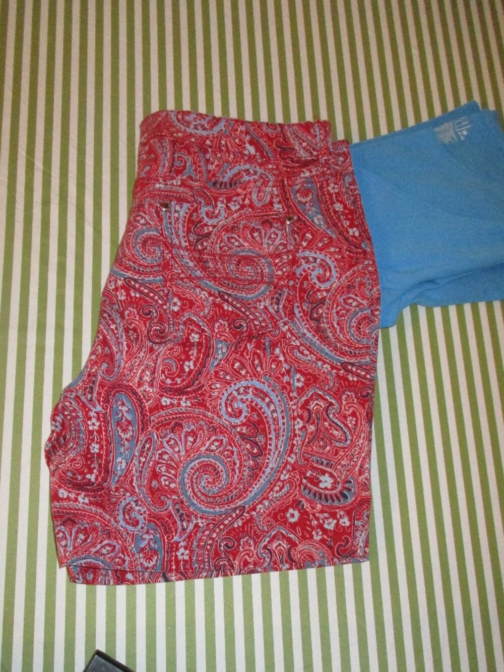Bandolino Paisley Shorts and T&T Shirt